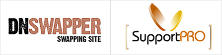 Dnswapper and SupportPro